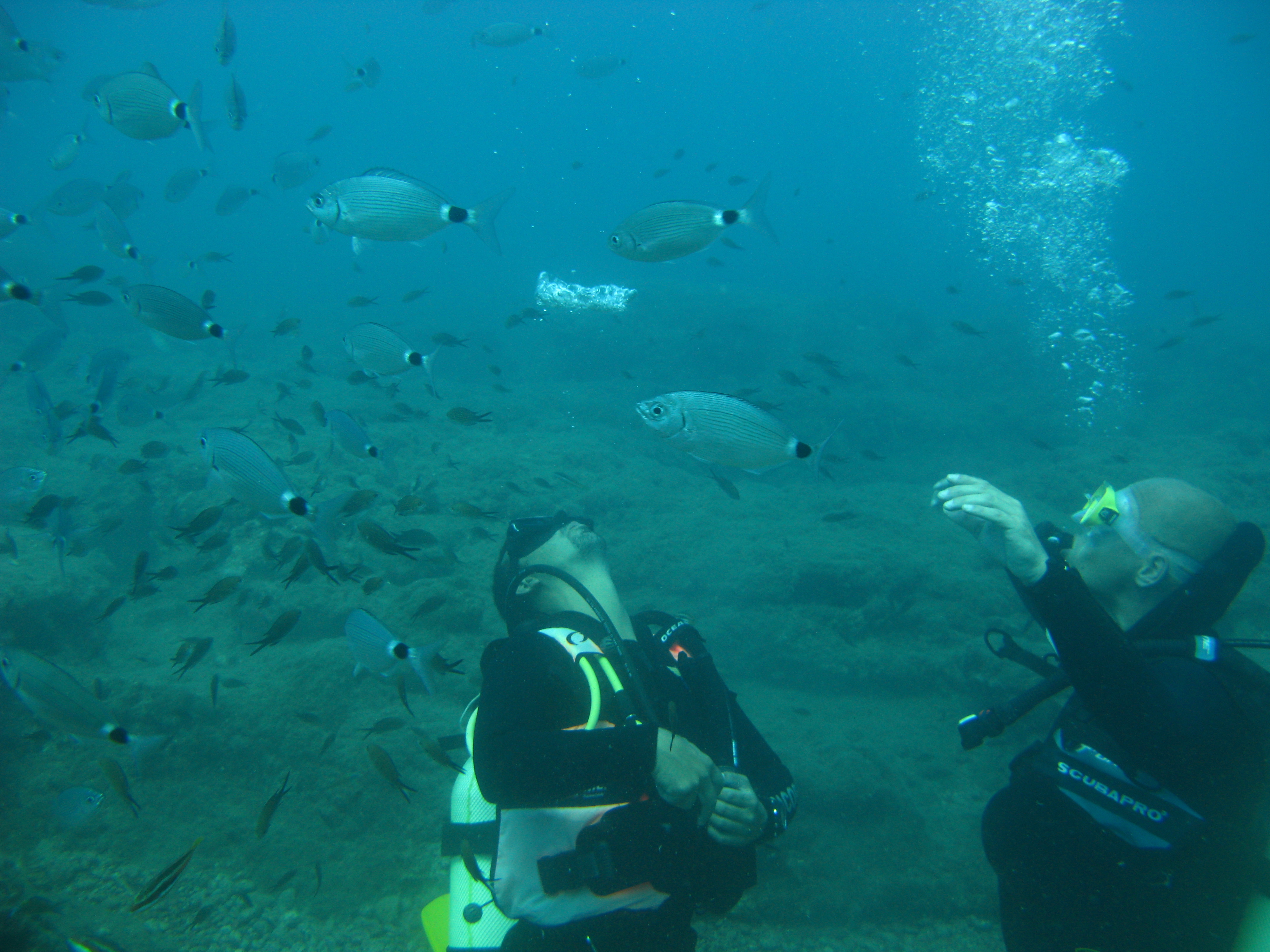 Antalya Kprl Kanyon Scuba Diving Dal Turu