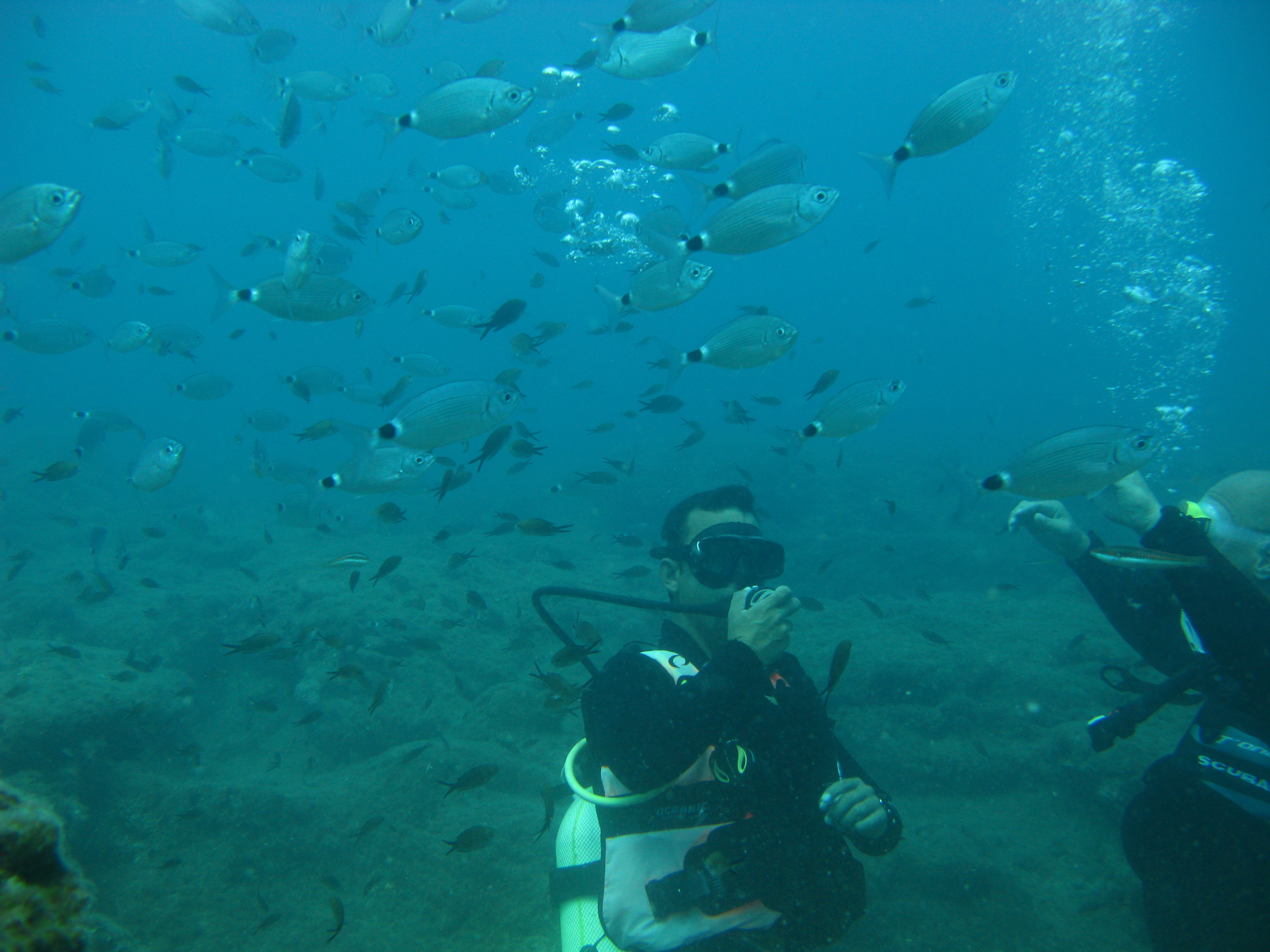 Antalya Kprl Kanyon Scuba Diving Dal Turu