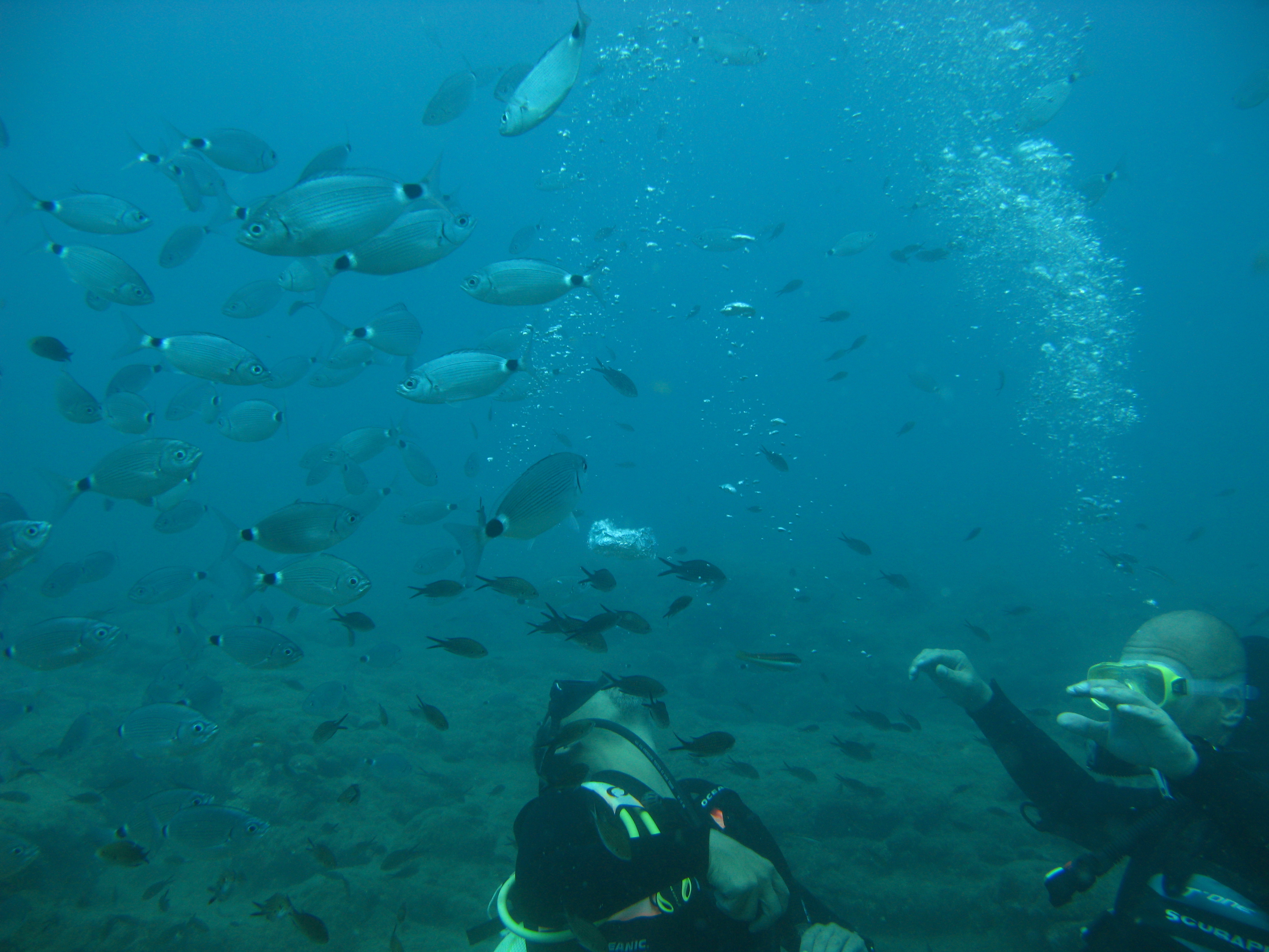 Antalya Kprl Kanyon Scuba Diving Dal Turu