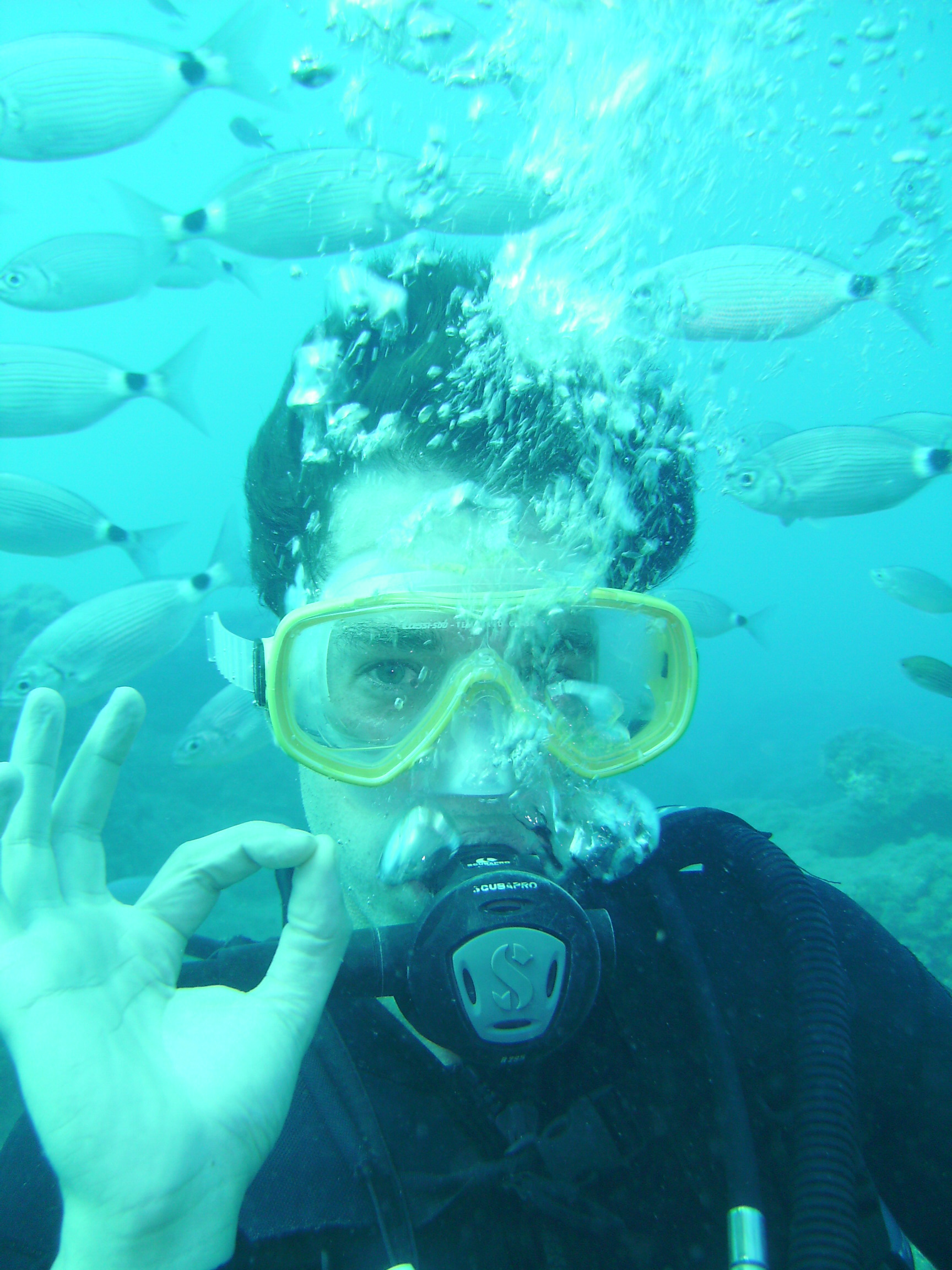 Antalya Kprl Kanyon Scuba Diving Dal Turu