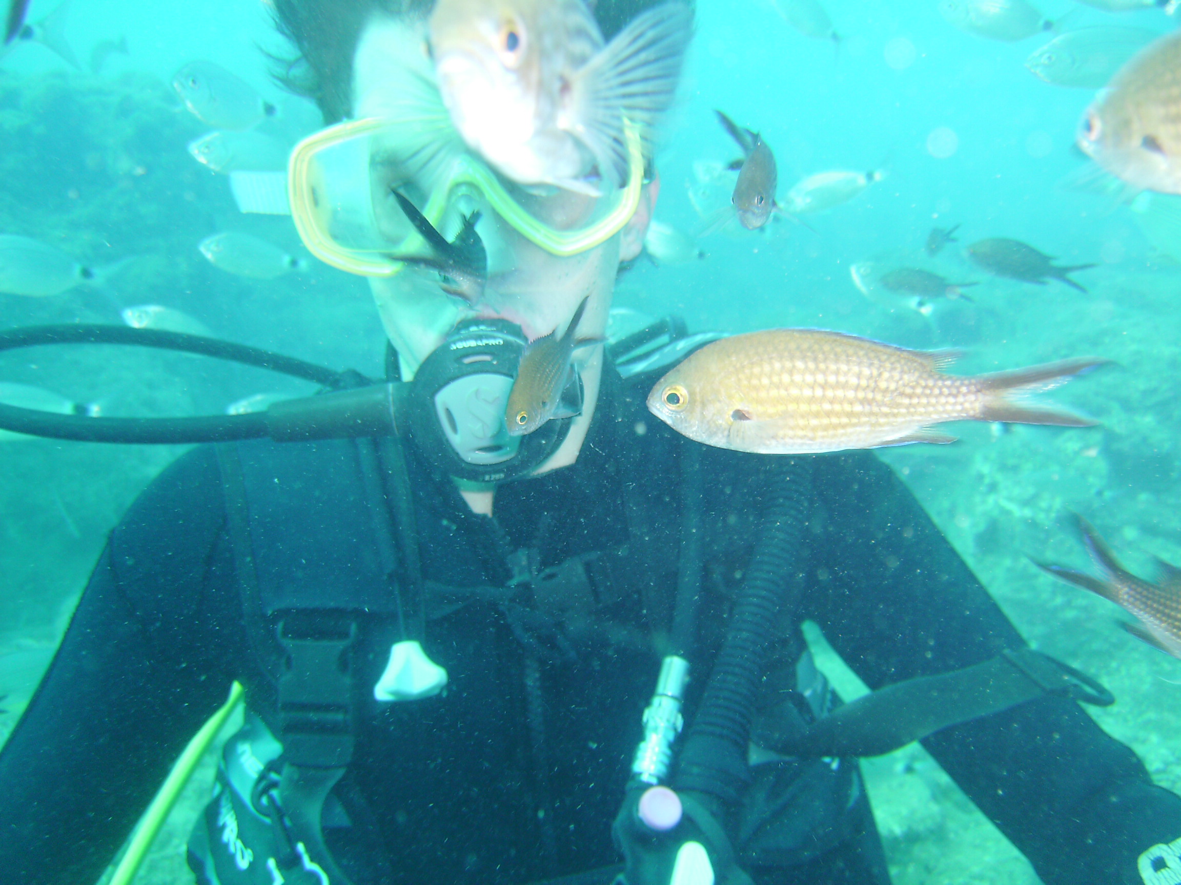 Antalya Kprl Kanyon Scuba Diving Dal Turu