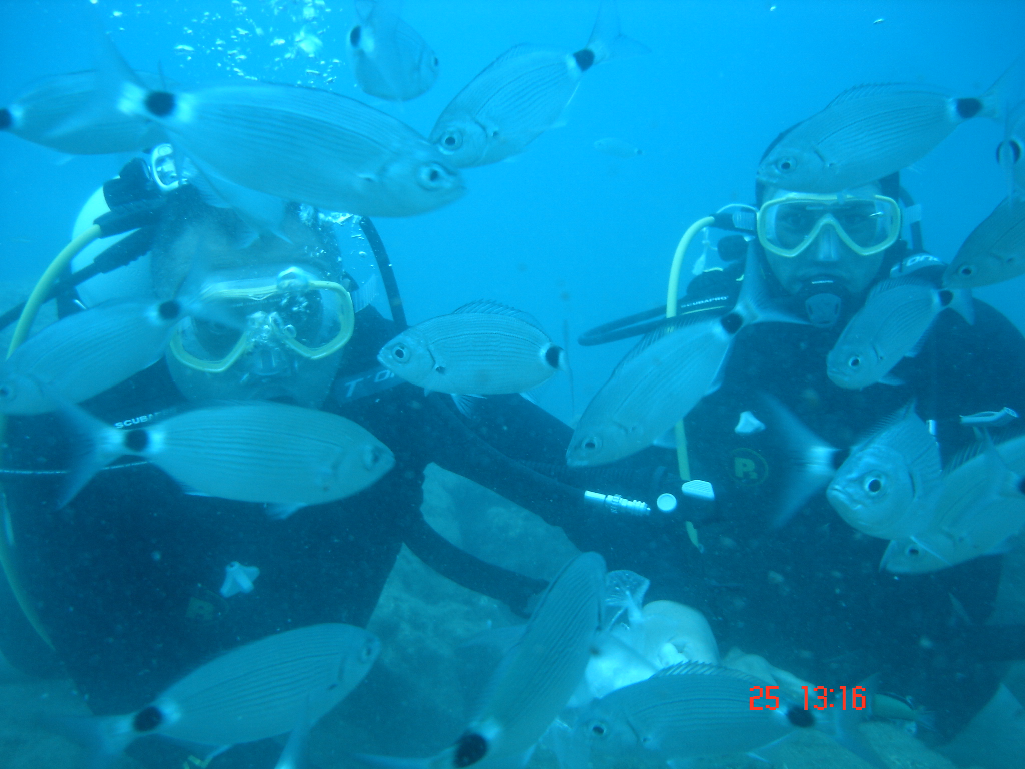 Antalya Kprl Kanyon Scuba Diving Dal Turu