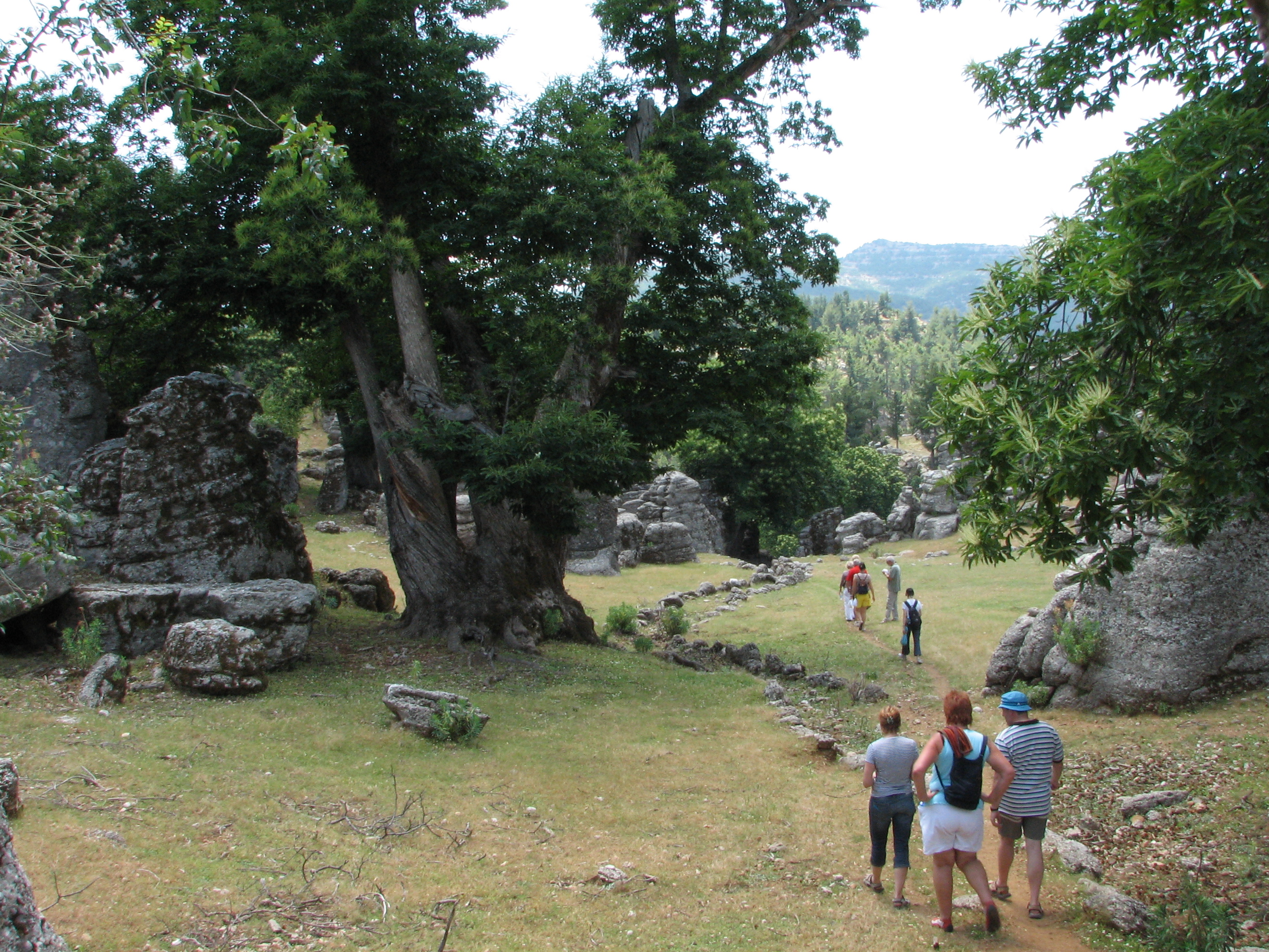 Antalya Kprl Kanyon Trekking Doa Yry ve Ky Turlar